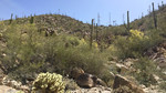 photo thumbnail #4