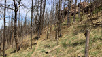 photo thumbnail #10