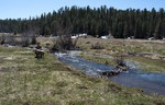 photo thumbnail #7