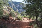 photo thumbnail #5