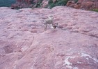 photo thumbnail #9