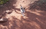 photo thumbnail #4
