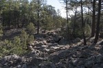 photo thumbnail #3