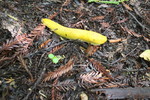 photo thumbnail #15