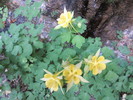 photo thumbnail #5