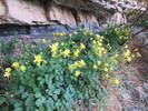 photo thumbnail #14