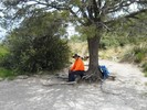 photo thumbnail #9
