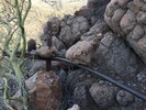photo thumbnail #2