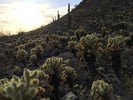 photo thumbnail #4