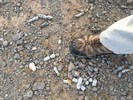 photo thumbnail #5