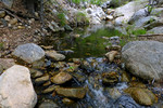 photo thumbnail #10