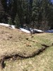 photo thumbnail #15