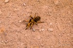 photo thumbnail #3