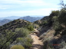 photo thumbnail #9