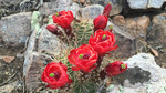 photo thumbnail #1