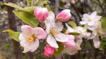 photo thumbnail #3