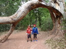 photo thumbnail #2