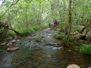 photo thumbnail #7