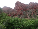 photo thumbnail #8