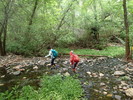 photo thumbnail #9