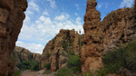 photo thumbnail #6