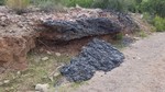 photo thumbnail #5