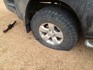 photo thumbnail #3