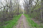 photo thumbnail #4