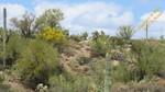 photo thumbnail #13