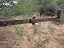 photo thumbnail #3