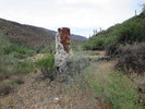 photo thumbnail #5