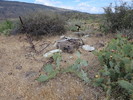 photo thumbnail #7