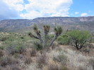 photo thumbnail #8