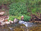 photo thumbnail #7