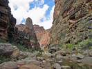 photo thumbnail #10