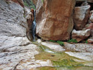 photo thumbnail #11