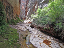 photo thumbnail #12