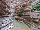 photo thumbnail #15