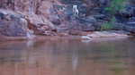 photo thumbnail #14