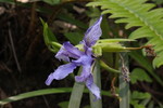photo thumbnail #5
