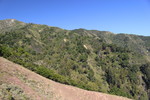 photo thumbnail #13