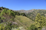 photo thumbnail #14