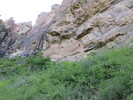 photo thumbnail #7