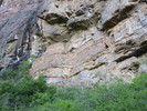 photo thumbnail #15