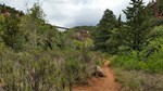 photo thumbnail #12