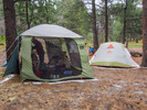 photo thumbnail #1