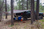 photo thumbnail #2