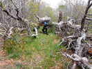 photo thumbnail #6