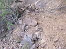 photo thumbnail #3