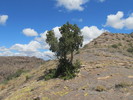 photo thumbnail #10